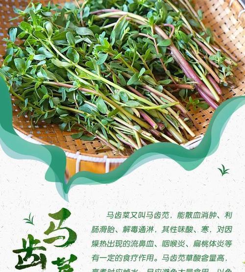 小法师对线蚂蚱出装攻略（小法师如何击败蚂蚱？精准出装秘诀揭密！）